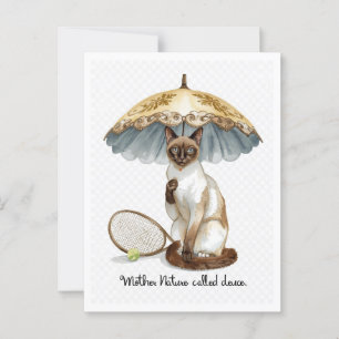 Cartão Postal Tênis Engraçado dizendo para os amantes de gatos