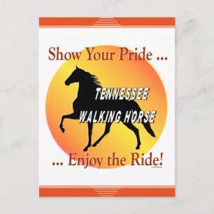 Cartão Postal Tennessee caminhando com cavalos mostra seu orgulh