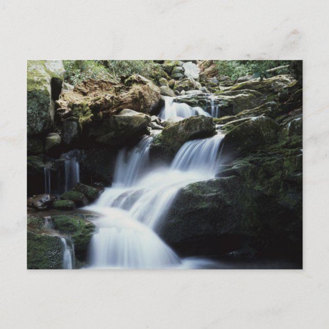 Cartão Postal Tennessee, Excelente Mountains National Park 3 (Frente)