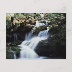 Cartão Postal Tennessee, Excelente Mountains National Park 3