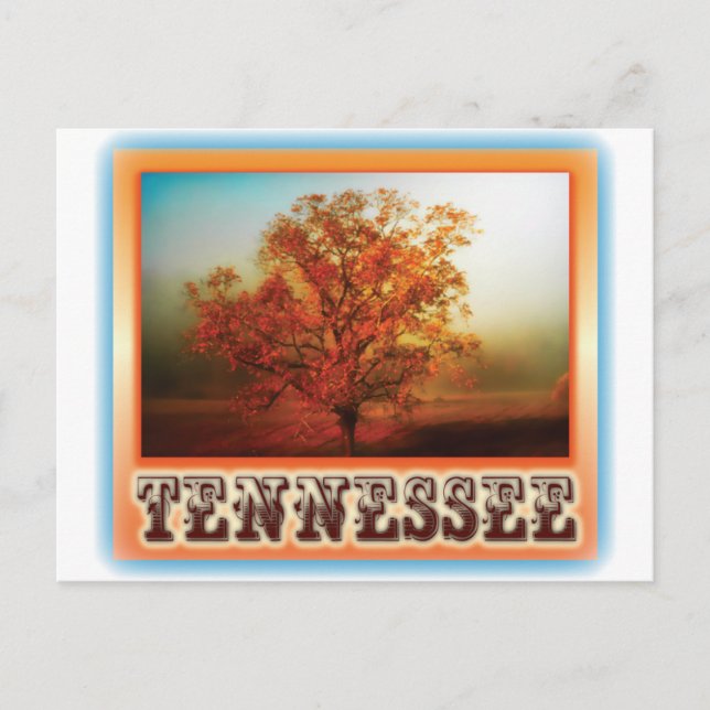 Cartão Postal Tennessee Fall Tree Scene (Frente)