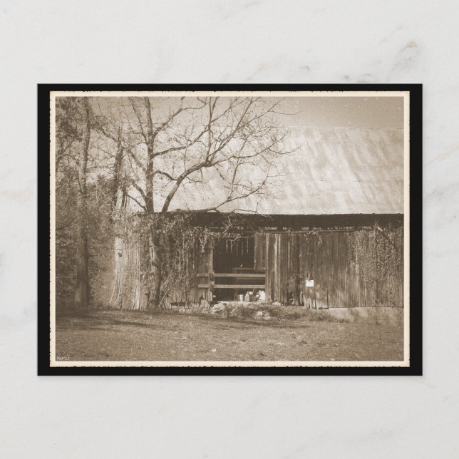 Cartão Postal Tennessee Fazenda Old Barn (Frente)