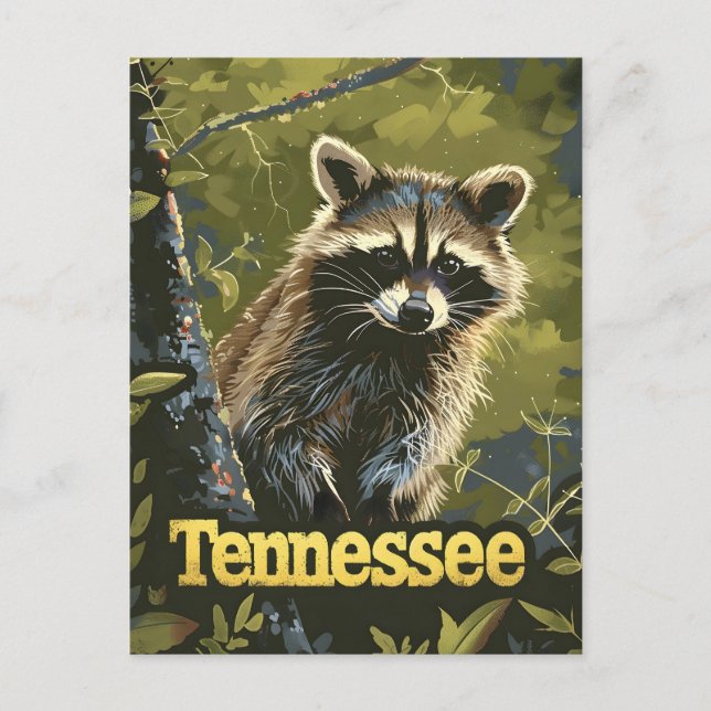 Cartão Postal Tennessee Raccoon (Frente)