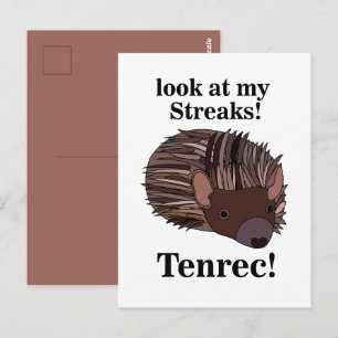 Cartão Postal Tenrec Animal Engraçado