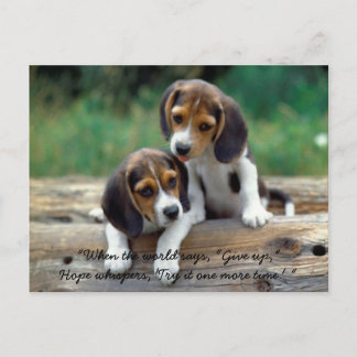 Cartão Postal Tente-o mais uma vez…