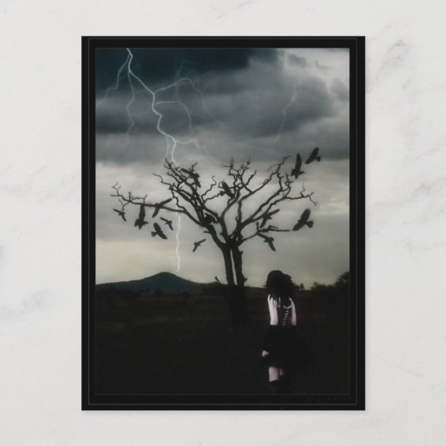 Cartão Postal Teoria do caos (Frente)