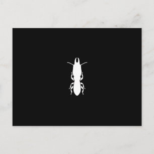 Cartão Postal Termite