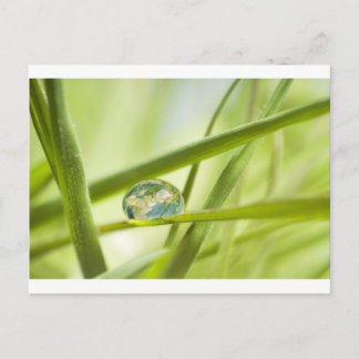 Cartão Postal Terra em uma gota