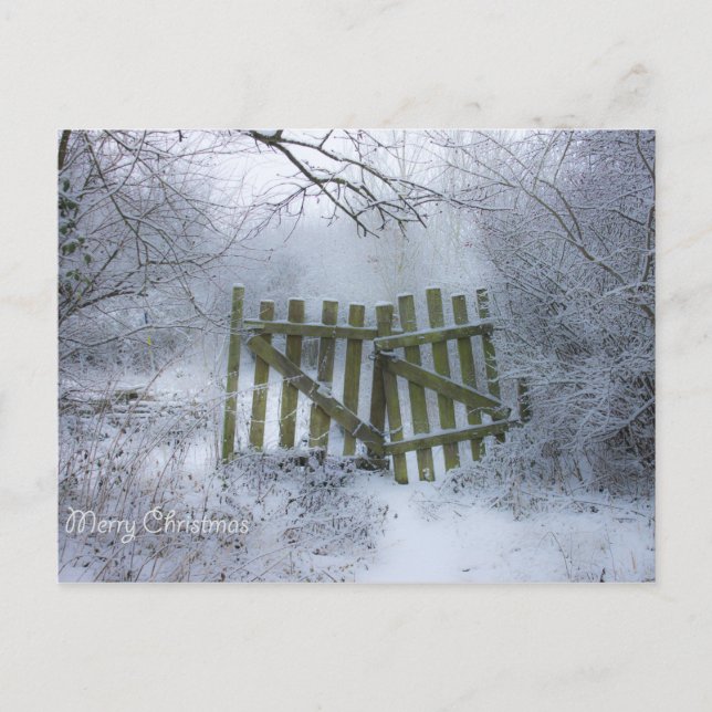 Cartão Postal Terra maravilhosa do inverno Dreamy (Frente)