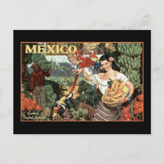 Cartão Postal terra mexica do esplendor tropical