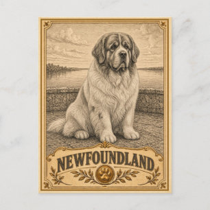 Cartão Postal Terra Nova, Cão de Herança Vintage