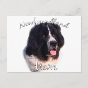 Cartão Postal Terra Nova (localizador) Mãe 2