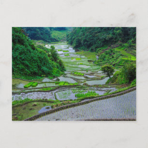 Cartão Postal Terraços de Arroz de Banaue, Luzon
