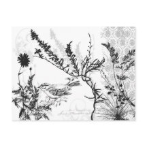 Cartão postal Terrestre B/W