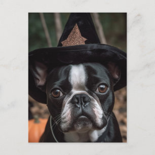Cartão postal Terrier de Boston Halloween