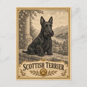 Cartão Postal Terrier Escocês, Cachorro de Patrimônio Vintage