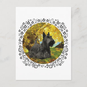 Cartão Postal Terrier Escocês em Bosque Outonal