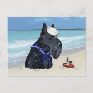 Cartão Postal Terrier Escocês Marinheiro