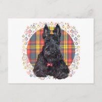 Terrier Escocês no Xadrez Buchanan