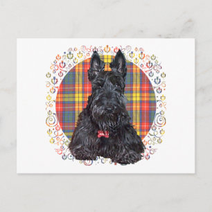 Cartão Postal Terrier Escocês no Xadrez Buchanan