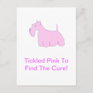 Cartão Postal Terrier escocês rosa