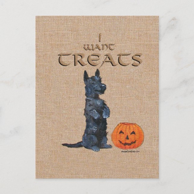 Cartão Postal Terrier escocês se senta para tratar! (Frente)