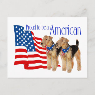 Cartão Postal Terriers Airedale Patrióticos