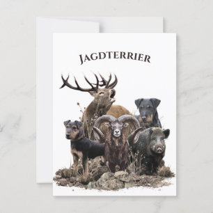 Cartão Postal Terriers de caça alemães