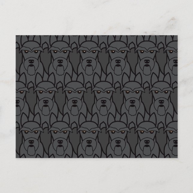 Cartão Postal Terriers escoceses (Frente)