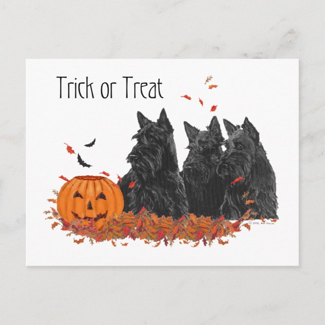 Cartão Postal Terriers Escoceses Halloween (Frente)