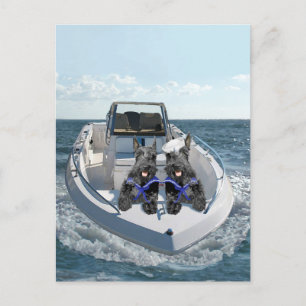 Cartão Postal Terriers escoceses no barco