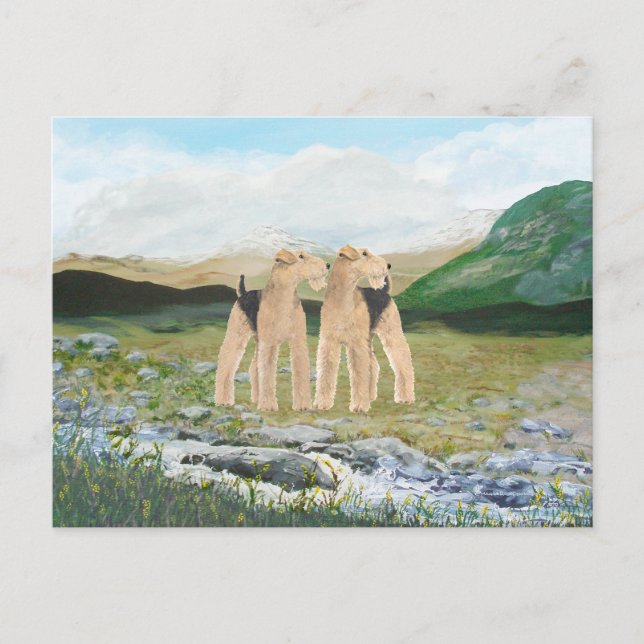 Cartão Postal Terriers na Irlanda (Frente)