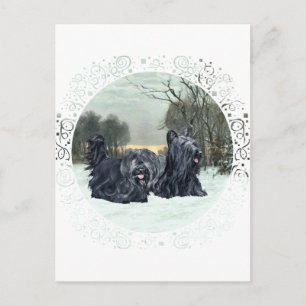 Cartão Postal Terriers Skye Pôr-do-sol Nevado