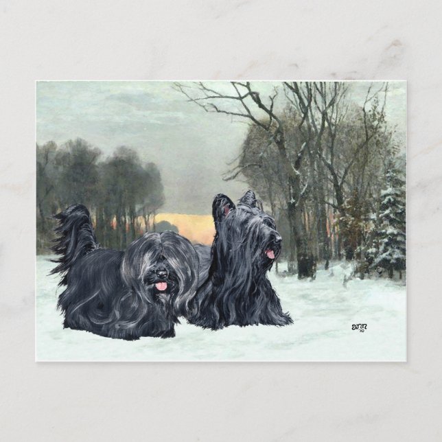 Cartão Postal Terriers Skye Pôr do Sol Nevado (Frente)