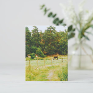 Cartão Postal Território Sueco