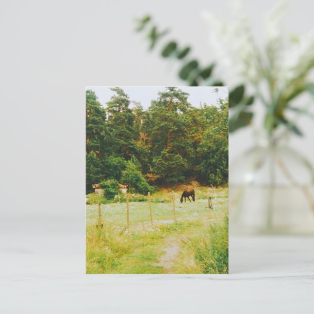 Cartão Postal Território Sueco (Em pé/Frente)