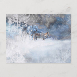 CARTÃO POSTAL TERRITÓRIOS WOLF WINTER