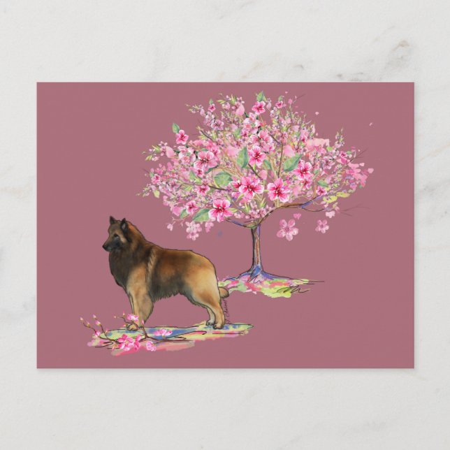 Cartão Postal Tervuren Belga (Frente)