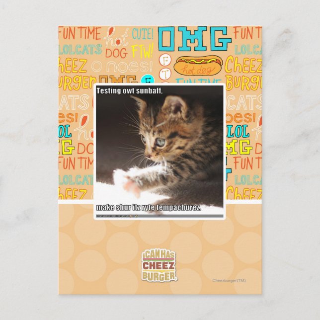 Cartão Postal Testando o sunbaff (Frente)