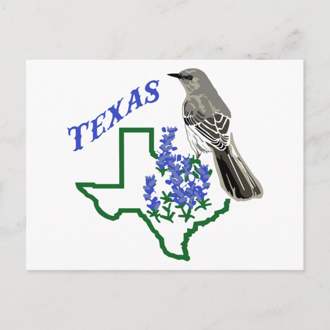 Cartão Postal Texas (Frente)