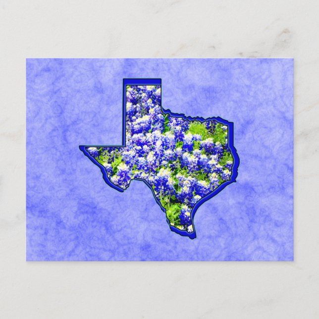 CARTÃO POSTAL TEXAS BLUEBONNETS (Frente)