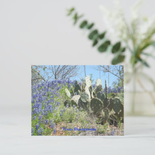 Cartão Postal Texas Bluebonnets e Cactus no Campo