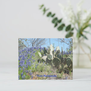 Cartão Postal Texas Bluebonnets e Cactus no Campo