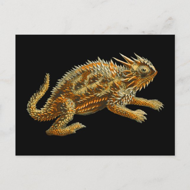 Cartão Postal Texas Horned Lizard (Frente)