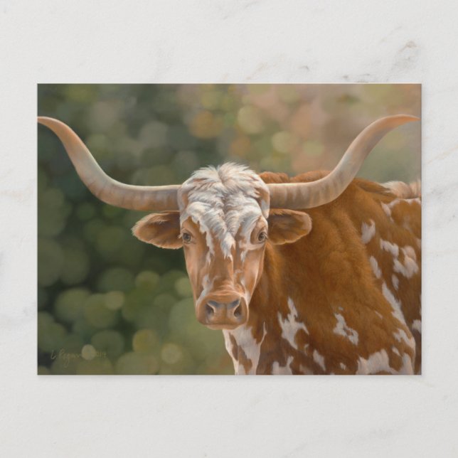 Cartão Postal Texas Longhorn (Frente)