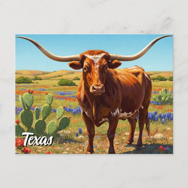 Cartão Postal Texas longhorn (Frente)