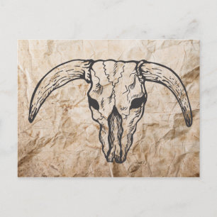 Cartão Postal Texas Longhorn Bull Skull