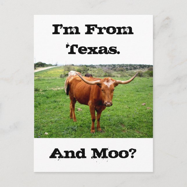 Cartão Postal Texas Longhorn com dizer engraçado de Texas (Frente)