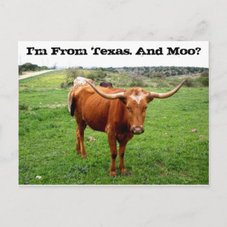 Cartão Postal Texas Longhorn Com O Engraçado Texas Dizendo