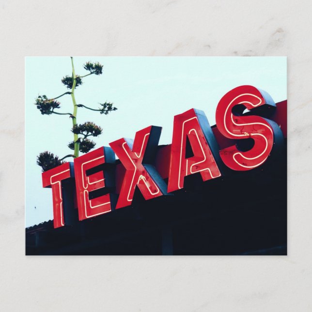 Cartão Postal Texas Red Neon Lights EUA América (Frente)